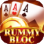 rummy 91 all icon
