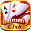 rummy perfect vip icon