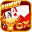 rummy vivo apk icon